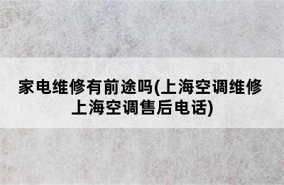 家电维修有前途吗(上海空调维修 上海空调售后电话)